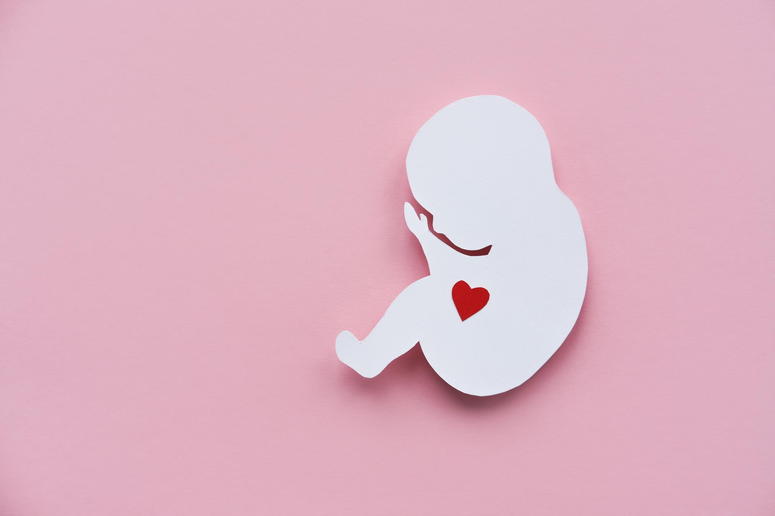 Tüp Bebekte Kalp Atışı Kaçıncı Haftada Duyulur?