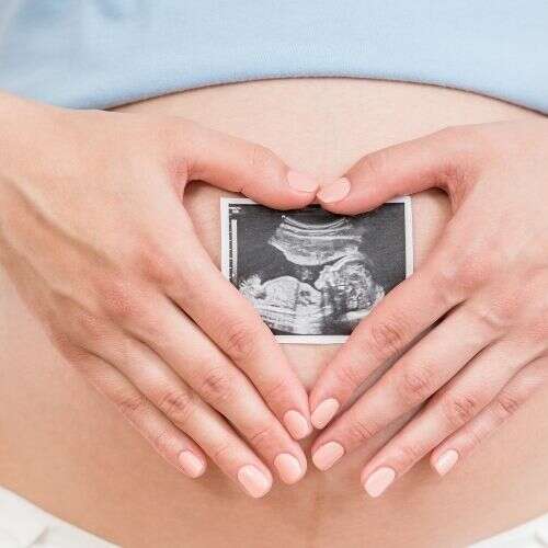 Embriyo Transferi Sonrası Gebelik Ne Zaman Belli Olur