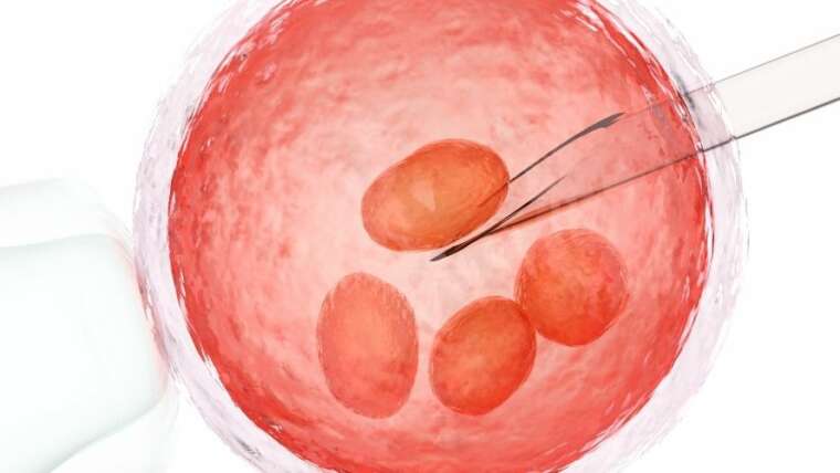 Embriyo Transferi Sonrası Yapılması Gerekenler