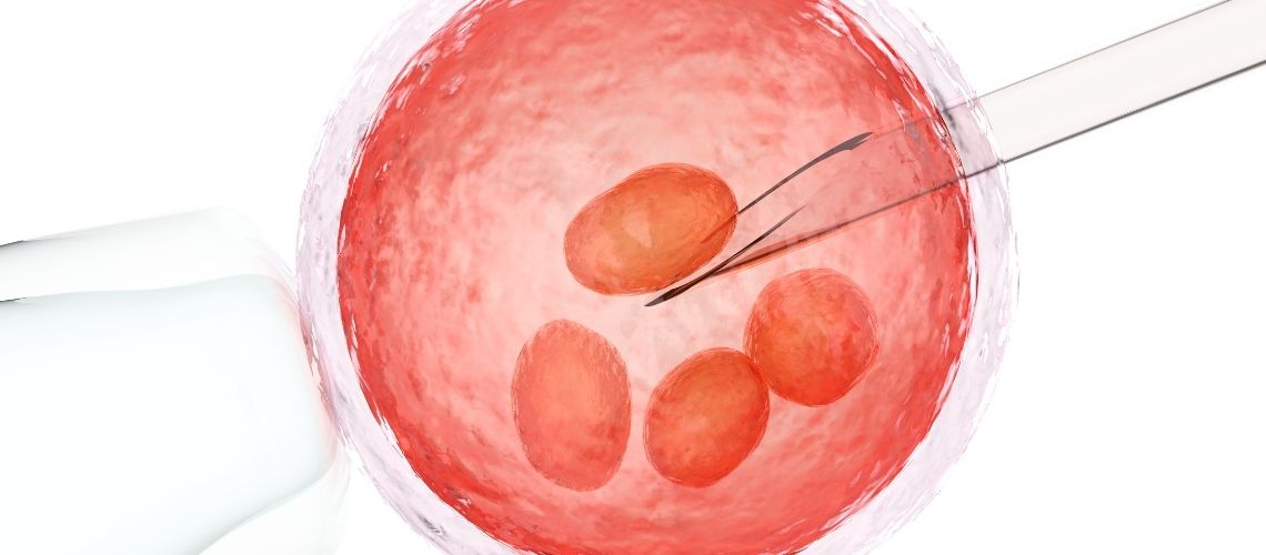 Embriyo Transferi Sonrası Yapılması Gerekenler