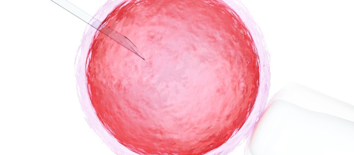 Hangi Durumlarda Tüp Bebek Tedavisi Yapılamaz?