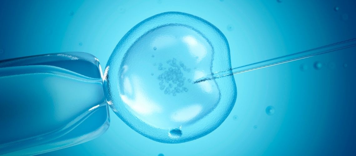 Why Do You Take Oestrogen After IVF Why Do You Take Oestrogen After IVF? Why Do You Take Oestrogen After IVF?