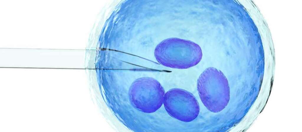 Why is assisted hatching done in IVF?