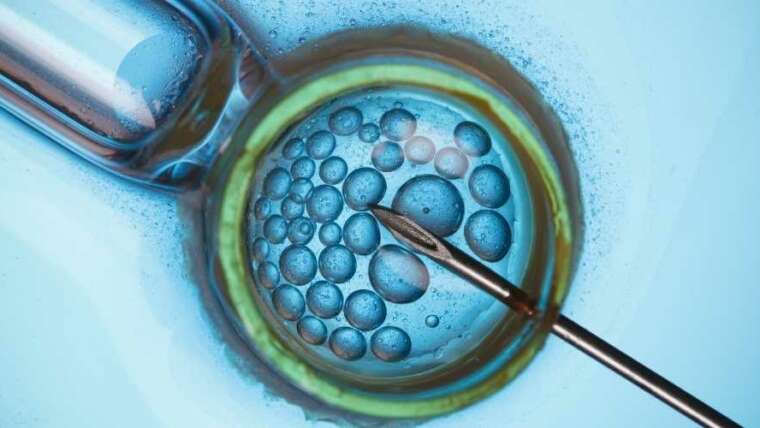 What GnRH Is and How It Works During IVF?