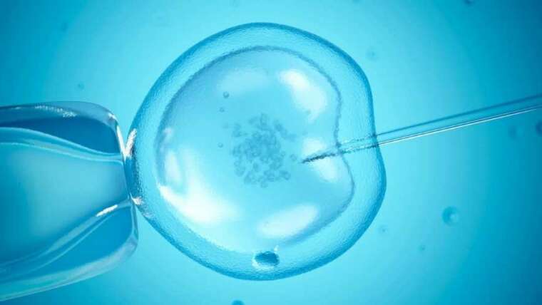 Can IVF be successful with adenomyosis?