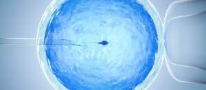 Can I drink alcohol during IVF?