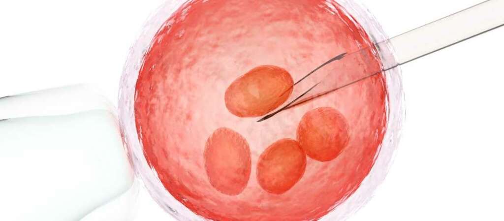 What is good AMH level for IVF?