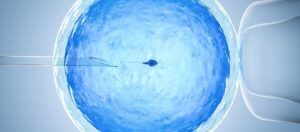 Darf ich während der IVF-Behandlung Alkohol trinken?