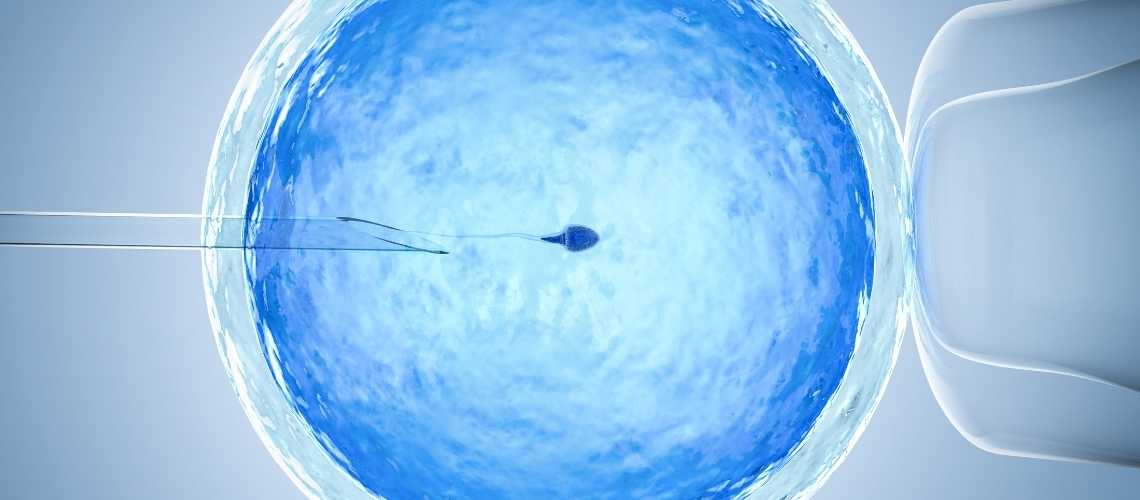 Darf ich während der IVF-Behandlung Alkohol trinken?