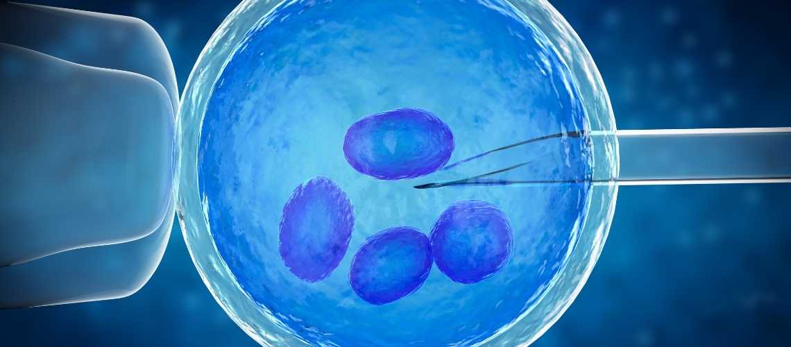 Genetischer Präimplantationstest auf Aneuploidie