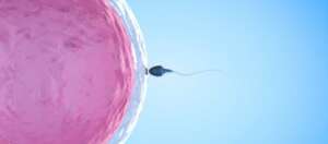 Neue Technologien in der IVF: Was anwenden, und wann?