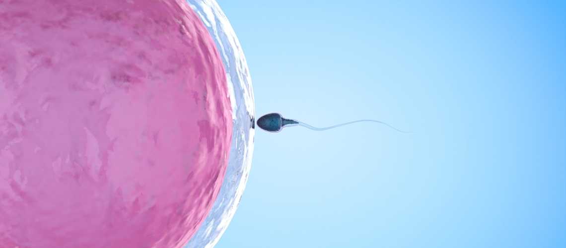 Neue Technologien in der IVF: Was anwenden, und wann?