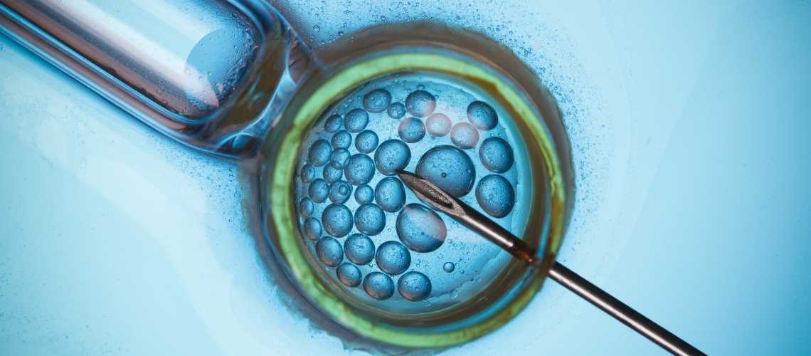 What is the difference between IVF and GIFT?
