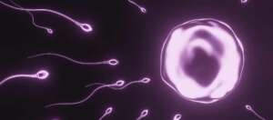 Semen Analysis Semen Analysis