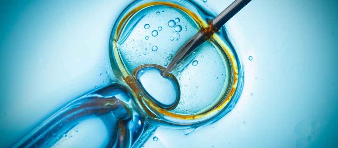 ​​Which is better IUI or IVF?