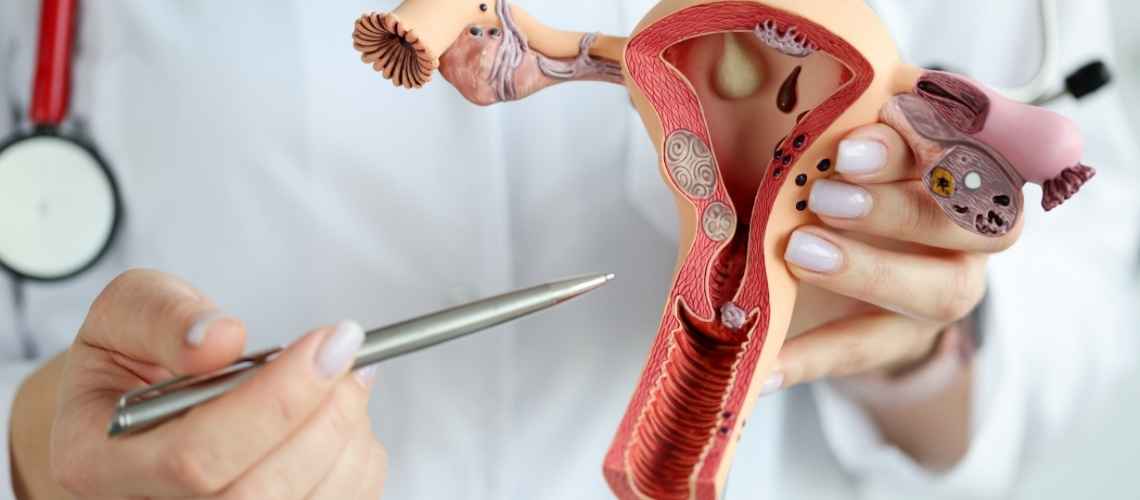 Why is hysteroscopy done before IVF 1 Why is hysteroscopy done before IVF? Why is hysteroscopy done before IVF 1 Why is hysteroscopy done before IVF?