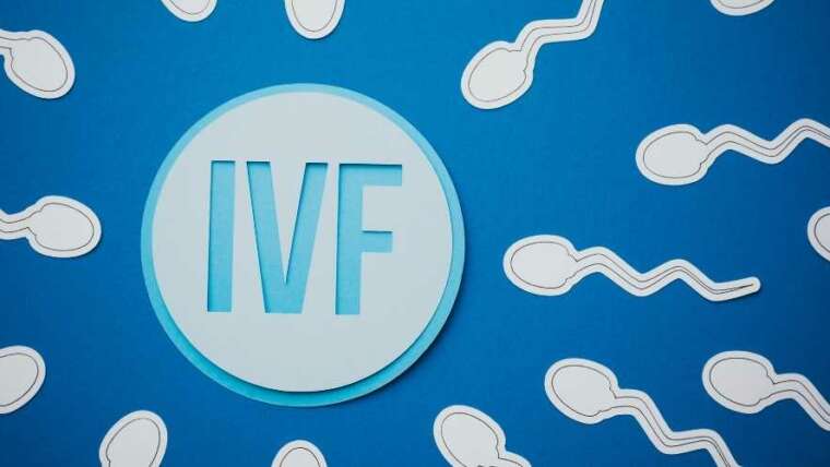 Average IVF cost