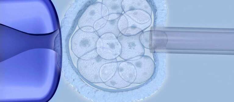 How long does it take for eggs to grow for IVF?