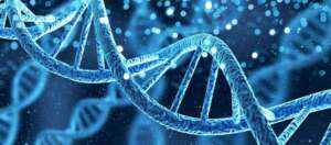 Single Gene Analysis PGT M Single Gene Analysis (PGT-M)