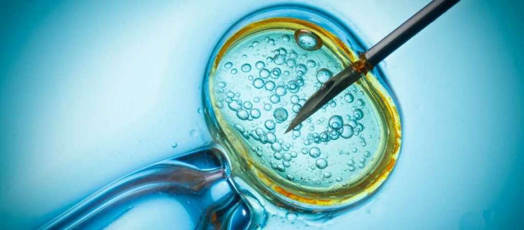What are the 6 stages of IVF?