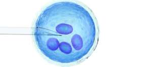 What is Lovenox used for in IVF?