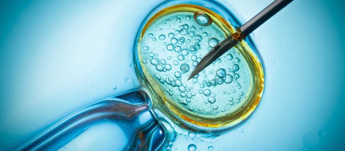 Warum kommt es bei einer IVF zu biochemischen Schwangerschaften?