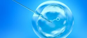 Was bewirkt Cetrotide bei einer IVF?