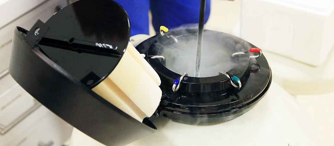 Wie viele eingefrorene Eizellen brauchen Sie für eine IVF?