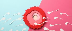 Sperm Kalitesini Artirmak icin Uygulanmasi Gerekenler Nelerdir Что нужно делать для повышения качества спермы?