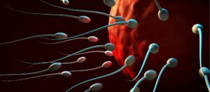 Was kostet eine Intrauterine Insemination im Ausland Wie viel kostet eine künstliche Befruchtung in der Ausland?