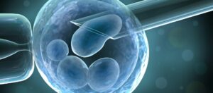 Wie lange dauert es bis man kunstlich befruchtet wird Wie lange dauert es bis man künstlich befruchtet wird?