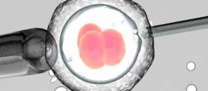 Wie oft darf man sich kunstlich befruchten lassen Wie oft darf man sich künstlich befruchten lassen?