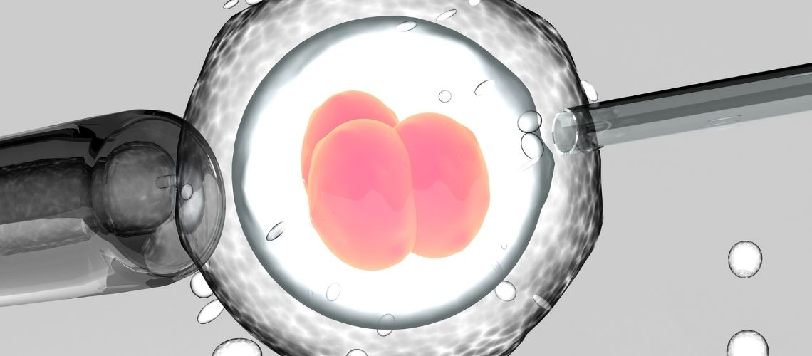 Wie oft darf man sich kunstlich befruchten lassen Wie oft darf man sich künstlich befruchten lassen?