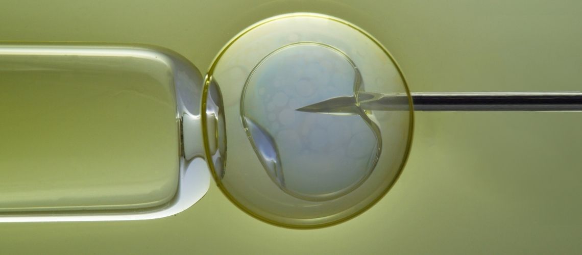 Wie oft klappt es beim ersten Mal bei der kunstlichen Befruchtung Wie oft klappt es beim ersten Mal bei der künstlichen Befruchtung?