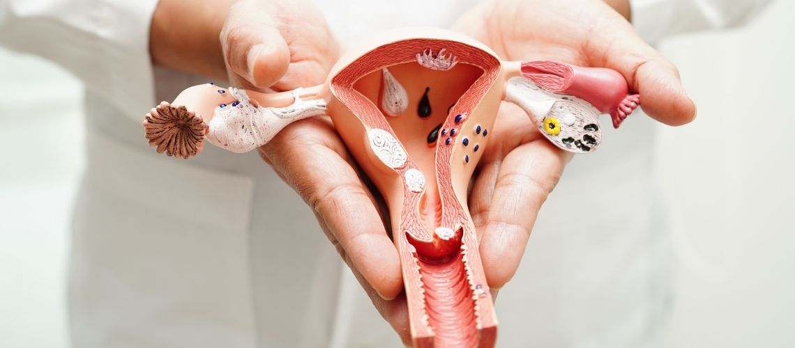 Jinekolojik Endokrinoloji Jinekolojik Endokrinoloji