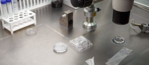 Erkek Kisirliginda PICSI DISH Yontemi Метод PICSI DISH при мужском бесплодии