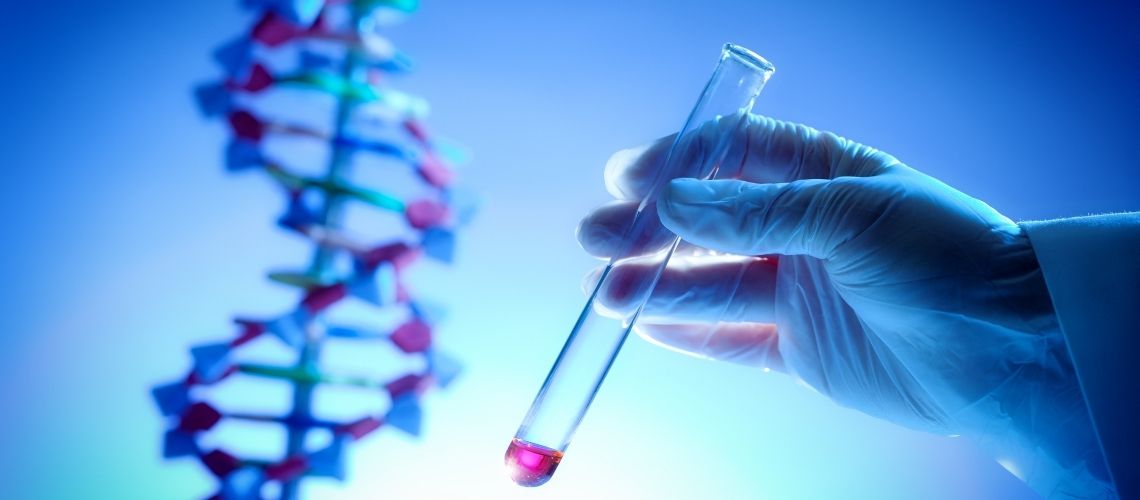 Serbest Fetal DNA Testi Nedir Ne Amacla Yapilir Serbest Fetal DNA Testi Nedir, Ne Amaçla Yapılır?