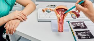 Cift Rahim Nedir Tedavisi Nasildir Что такое двойная матка и как проводится ее лечение?