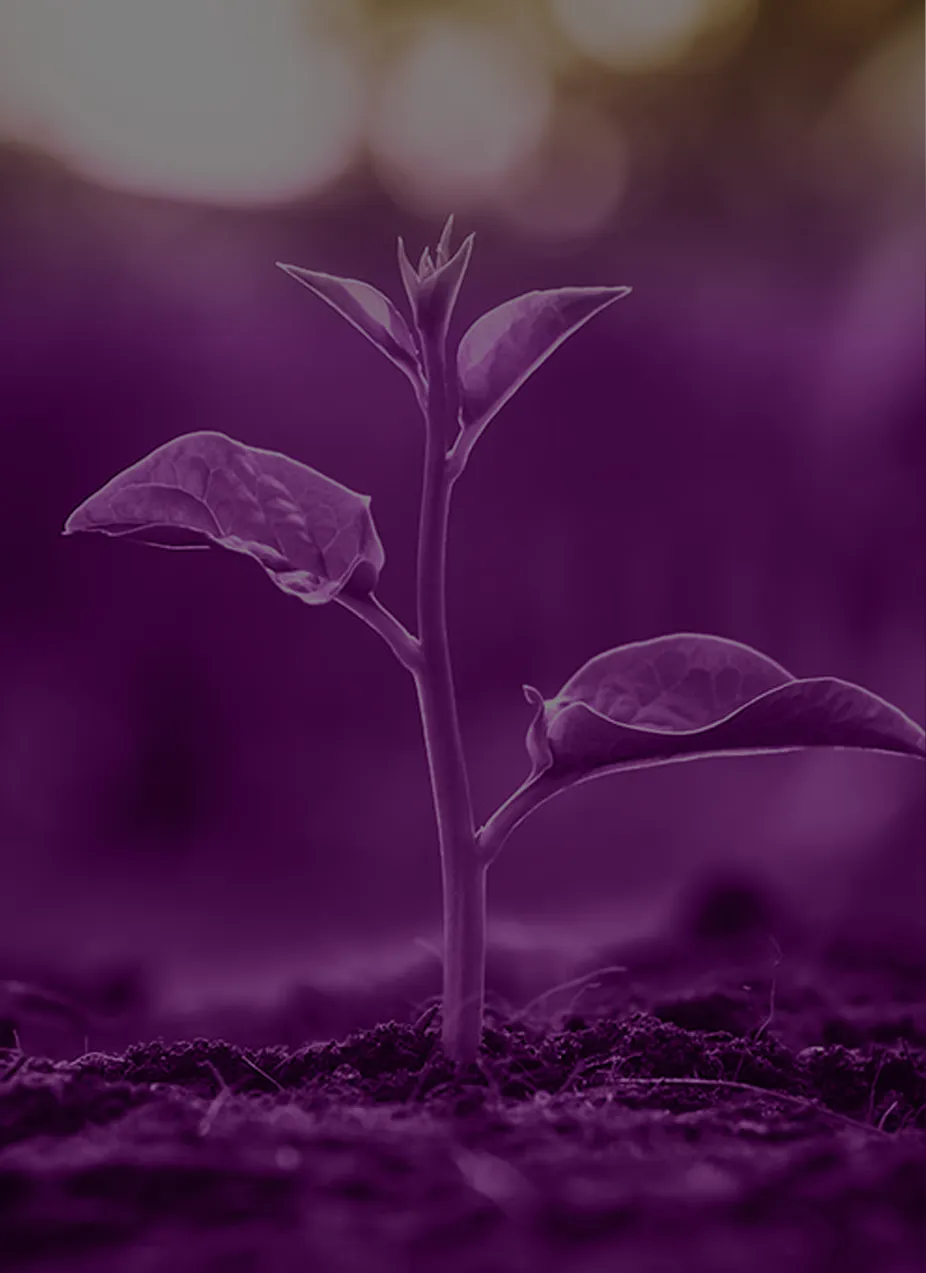 OVARIAN REJUVENATION Anasayfa