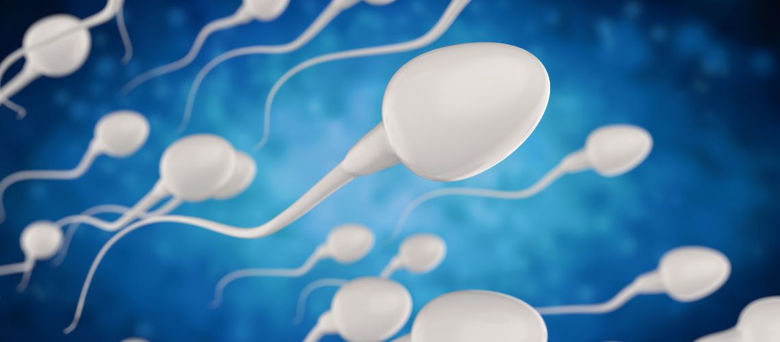 Sperm Hucreleri Ne Kadar Yasar Sperm Hücreleri Ne Kadar Yaşar?