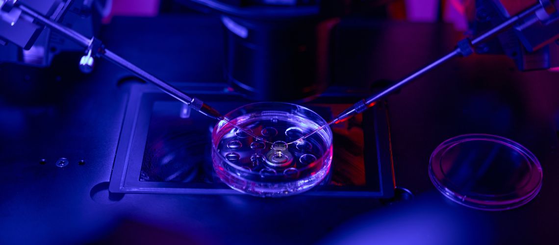 Embriyo Transferinde Anestezi Yapilir mi Embriyo Transferinde Anestezi Yapılır mı?