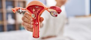 Fallop Tupleri Nelerdir Fallop Tupleri Ne Ise Yarar Fallop Tüpleri Nelerdir? Fallop Tüpleri Ne İşe Yarar?