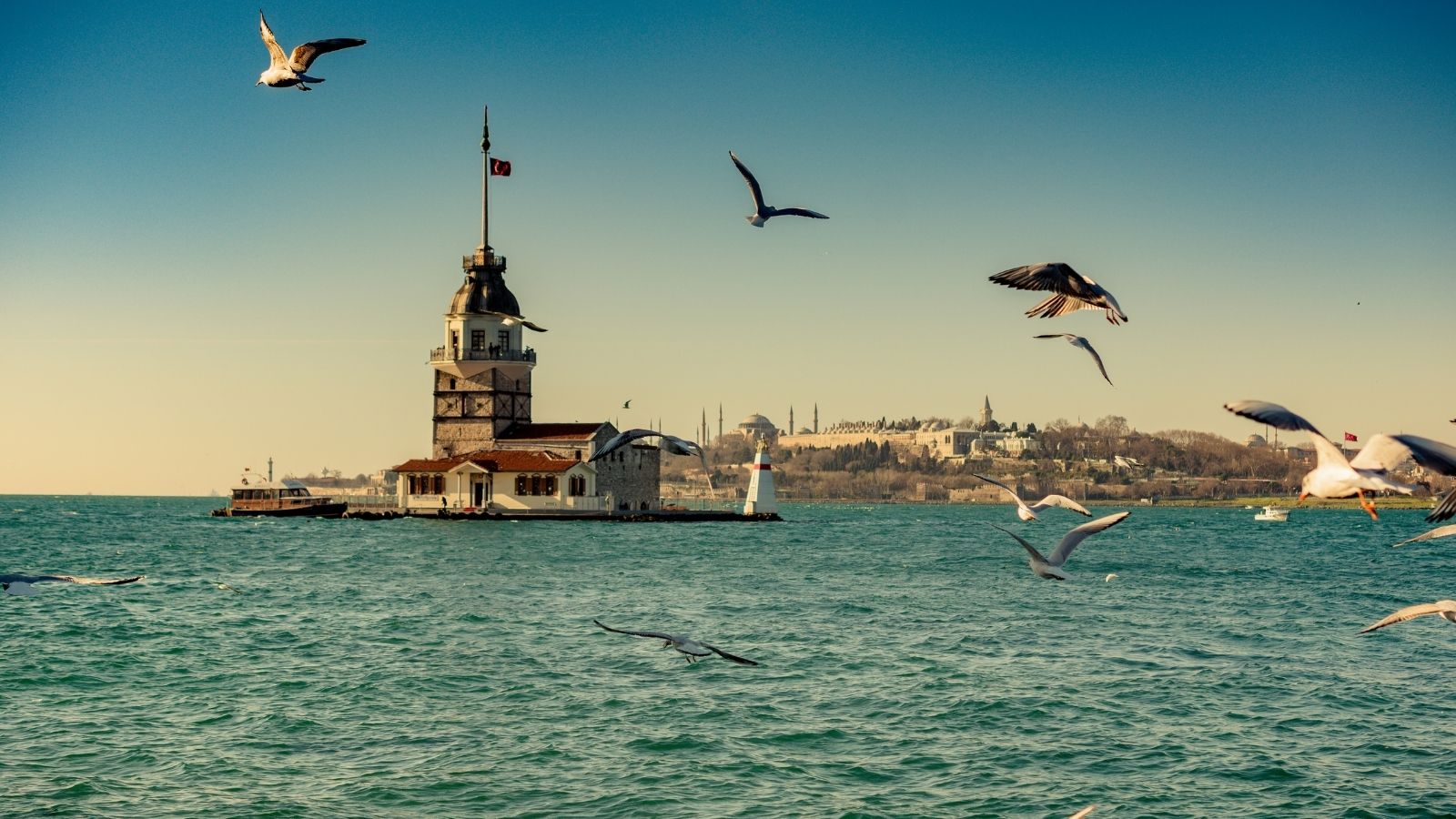 IVF Costs in Turkey In Vitro Fertilization (IVF) Cost in Turkey, USA, UK & Canada