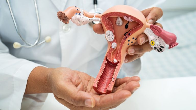 Kadinlarda Genital Organlarin Anatomik Yapisi Anatomical Structure of Female Genital Organs