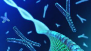 Karyotip Kromozom Analizi Testler