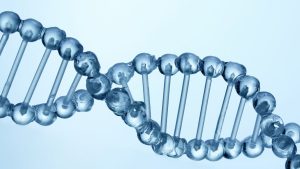 Y Mikrodelesyon Analizie Testler